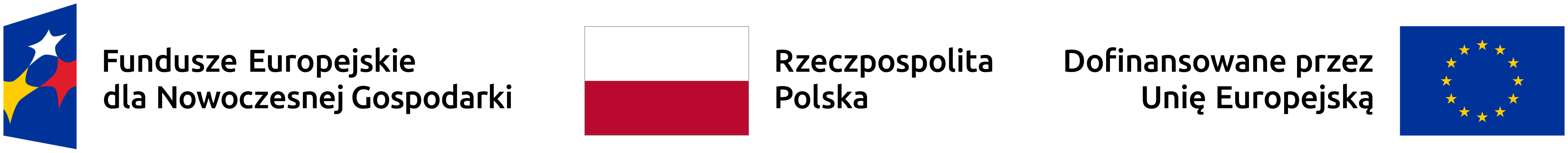 Fundusze Europejskie dla Nowoczesnej Gospodarki, Rzeczpospolita Polska, Dofinansowane przez Unię Europejską